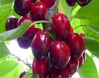 汉威科技预计一季度净利润同比增长10%-30%-ky.com(图1)