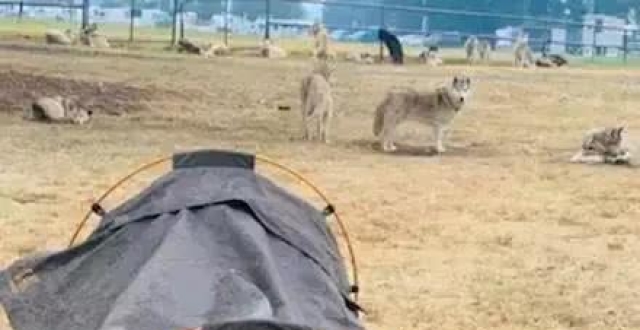 ky com_让共享经济走好未来的路(图3) ky com