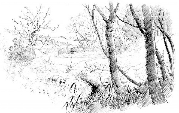 ky.com-漫谈小众奢侈品崛起之路(图3) ky com