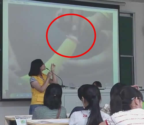 ky com-楚寻欢:书象?乱书?谁摹仿了谁?——从杭法基到王冬龄看现代书法的尴尬乱象(图1) ky com