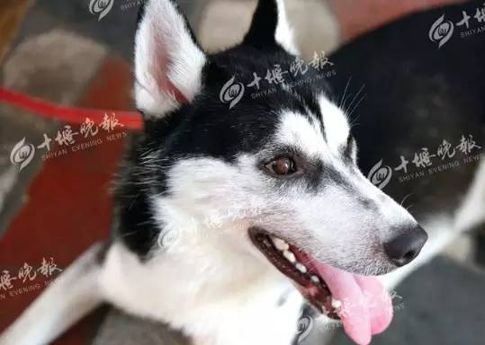 正业科技三季度盈利继续下滑预计盈利1100万元-2500万元【ky com】(图1)