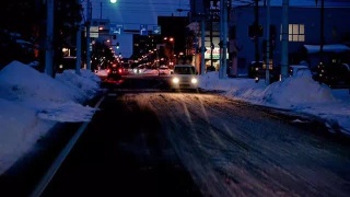 金银币市场迎来首个贺岁银币-ky com(图2)