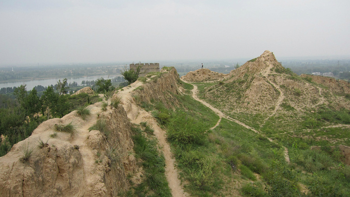 另类艺术家威姆·德沃伊：一张猪皮画100万，背后有何艺术价值|ky com(图2)