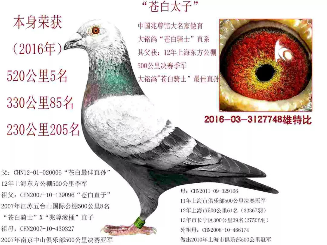 网约车合法化是分享经济的胜利：ky com(图2)