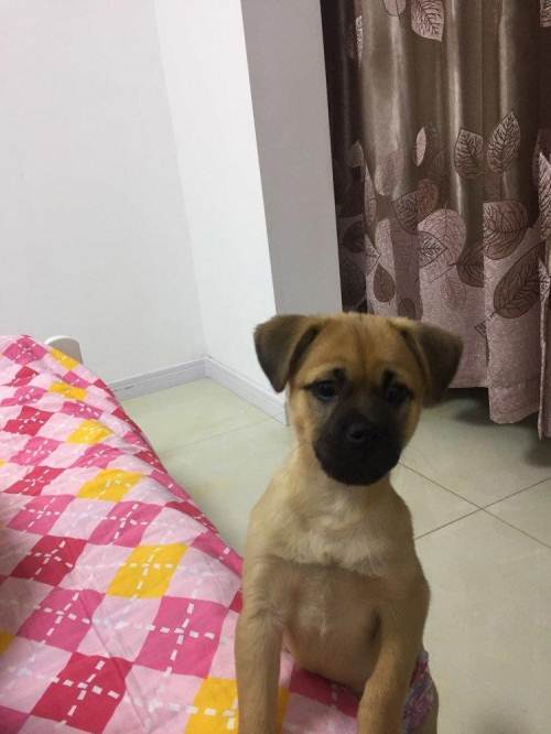 高考作文模拟题导写:明白控制 成就人生|ky.com(图1)
高考作文模拟题导写:明白控制 成就人生|ky.com(图1)