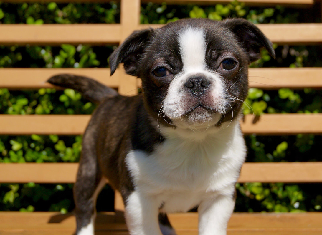 ‘ky com’
	<h1>2015年大艺时代全国原创插画设计大赛 征稿章程(图2)