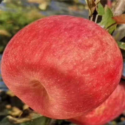 
	<h1>宁夏举办首届艺考美术模拟联考 2500名考生同场竞技‘ky com’(图1)