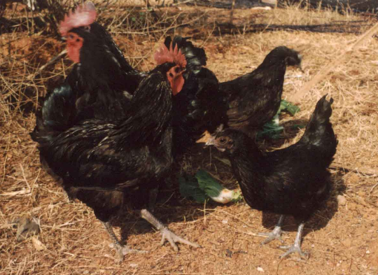 ‘kycom’
中国十大银行标志比拼 哪个标志最悦目?(图3) ky com