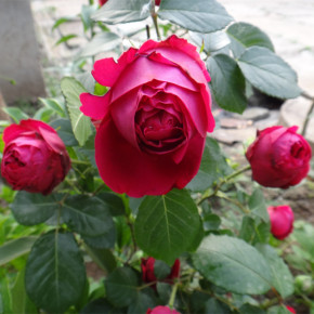 ky com：英国泰特美术馆将协助上海打造文化新地标(图2)