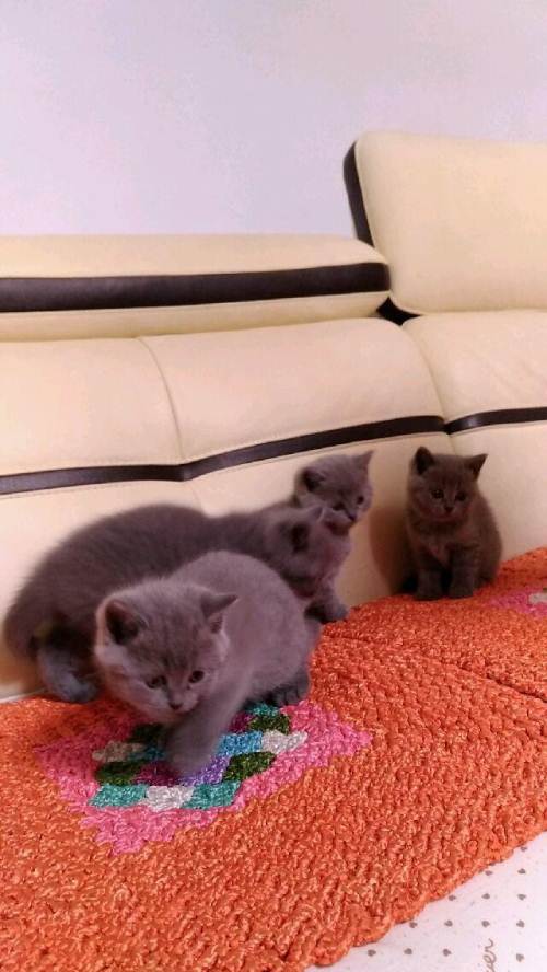 ky.com_如何抓住“建设数字丝绸之路”机遇(图1)