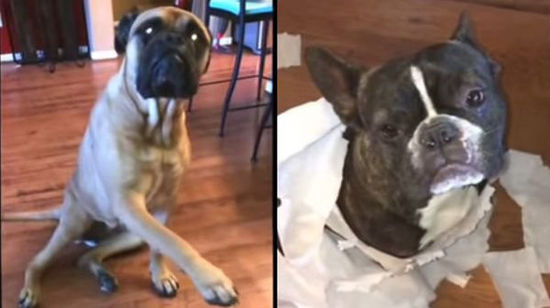 重庆市场买家比卖家多买到宝贝多不愿再卖出|ky com(图2) 重庆市场买家比卖家多买到宝贝多不愿再卖出|ky com(图2)