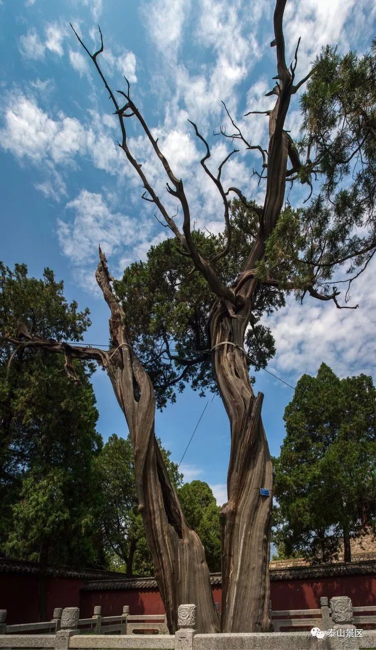 ky com_纪念币收藏价格遇冷店铺生意很冷清作者:丁倩2017-09-0108:23:47来源:大河报 核心提示|纪念币,本是央行为(图1) ky com_纪念币收藏价格遇冷店铺生意很冷清作者:丁倩2017-09-0108:23:47来源:大河报 核心提示|纪念币,本是央行为(图1)