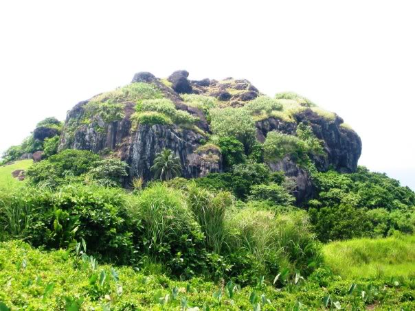 乐视网：各方欠款总计75.3亿元 涉及50多家‘ky com’(图2)