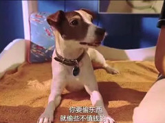 雷士照明拟派特别股息每股5港仙-ky.com(图3)