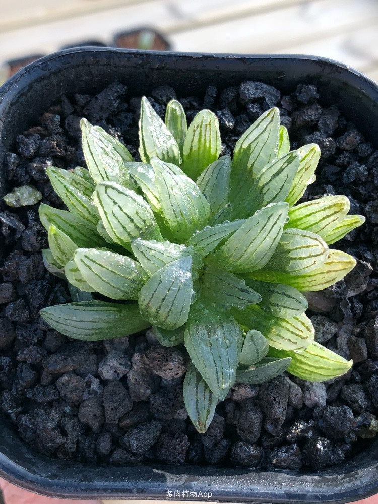 ‘kycom’火车票上打广告不必大惊小怪(图4) ‘kycom’火车票上打广告不必大惊小怪(图4)