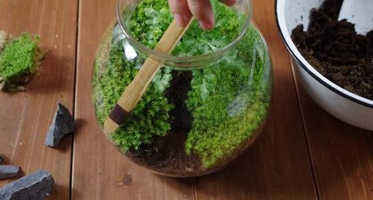 中国小拍行良莠不齐:拍假现象严重“ky.com”(图1) ky com