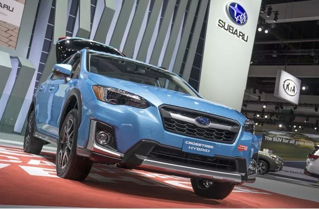 “ky com”内蒙古人保财险启动政策性奶牛保险试点项目(图2)